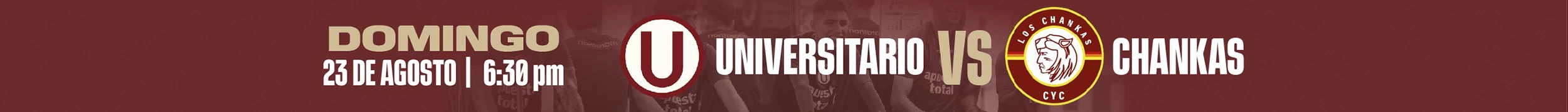 Banner 3
